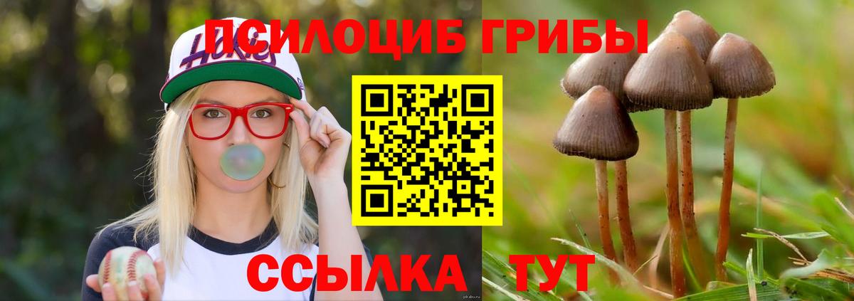 Сосновоборск  Псилоцибиновые грибы прущие грибы  Вход с VPN  Галлюциногенные грибы прущие грибы 