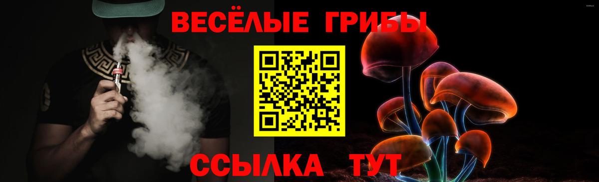 Псилоцибиновые грибы Psilocybine cubensis Сосновоборск